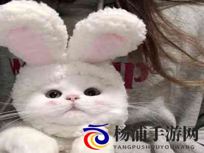 爱情岛独家提供：唯美情感交流由此倾情奉献