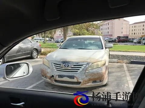 丰满的亚洲女人毛茸茸:亚洲魅力女性体态丰盈毛发繁密-3