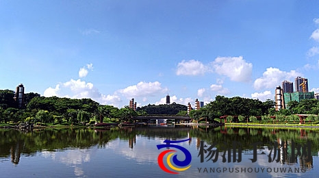 打扑克做运动|通过玩牌进行身体锻炼-2