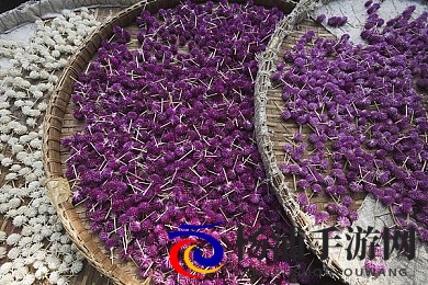 8x8x海外华为永久更新时间3|华为海外创新确保设备长久安全-3