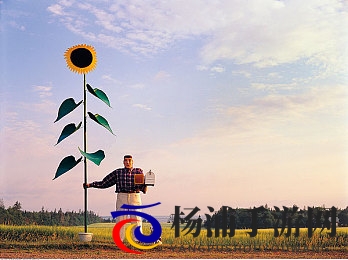 男人和女人一起肌肌对肌肌|男女携手肌肤亲密交流-3