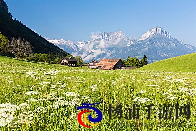 王强快拔出来老师怀孕|王力迅速行动老师迎来新生命-2