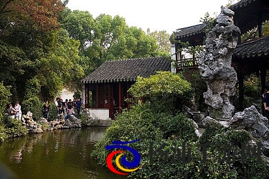 粉色宝库|都市潮流新宠引领绿色时尚-1