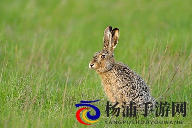 扒开双腿用毛笔折磨尿孔|展开双腿用毛笔刺激排尿感受-1