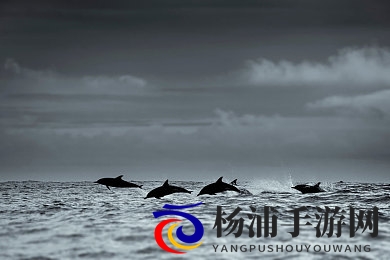 麦乐迪满天星三部曲|麦克风梦想之旅精彩系列-2