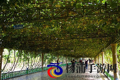 女生的小坤坤|创新玩法引领游戏新潮流-1