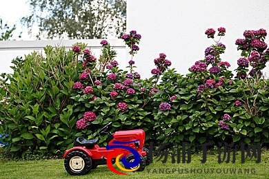 男生女生肌肌对肌肌|少年少女肌肤比拼暖意融融-2