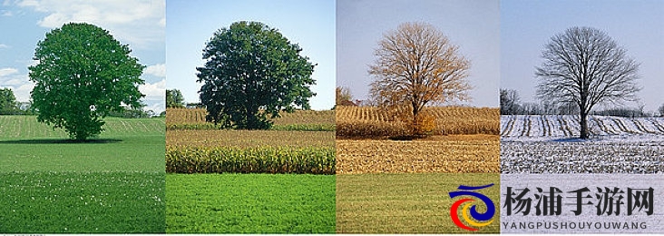 肌肌对肌肌通30分的|肌肤保护实现轻松三十分钟-3