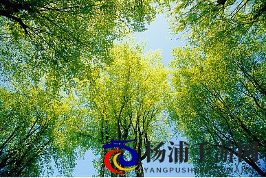 粉色宝库|探索色彩背后的生活哲学-2