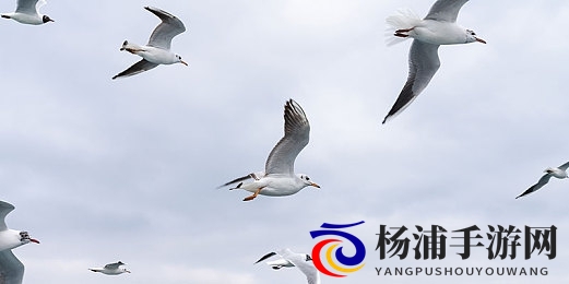 将界2之蕾蕾的身材有多好|蕾蕾在将界二中的迷人体型展现-3