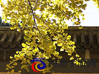 将界2 第3集 酒店剧情|第二部影院第九集旅店场景解说-1