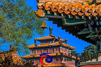 校花被带到惩罚室打屁股|校园惩戒引发管理与关怀的深思-1