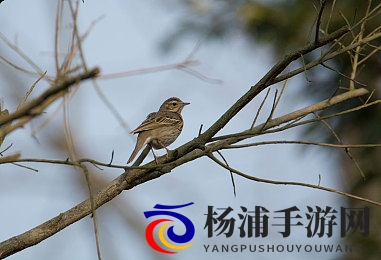 20岁1069GAY男同志|年轻男子十九支援彩虹之声-1