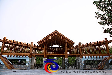 Chinese推特GAYXXX|华语社交平台上的同志内容揭秘-2