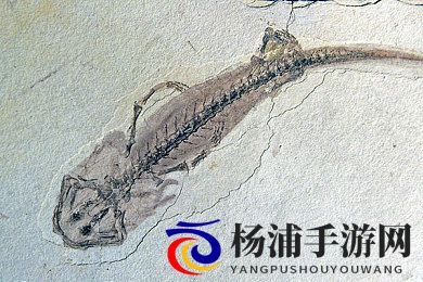 白女人与黑大茎交|白肤女子遇到浓郁黑色激情-2