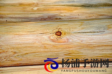 粉色宝库|探索色彩背后的生活哲学-3