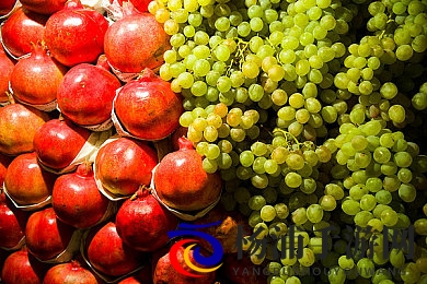 女性憋尿训练(最痛苦)|女性控制膀胱的极限体验-2