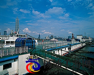 罗宾给乔巴做青春期治疗|海贼王中的医生为乔巴进行发育辅导-3