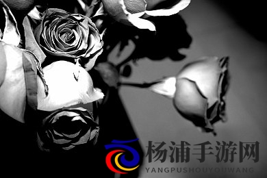 桥本香菜饰品销售的独家营销方式|个性化潮流引领品牌新革命-2