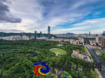 美女坤坤|网络新晋偶像的崛起与影响-1