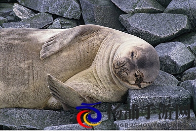 甜蜜惩罚 真人版|娇羞制裁的真实体验-2