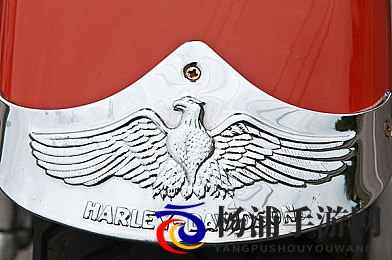 主人调教小sao货|主人引导娇嫩宠物成长-2