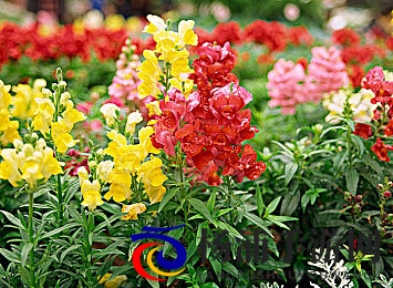 打扑克做运动|通过玩牌进行身体锻炼-3