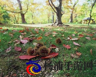 肌肌对肌肌通30分的|肌肤保护实现轻松三十分钟-2