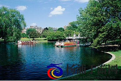 罗宾给乔巴做青春期治疗|海贼王中的医生为乔巴进行发育辅导-2