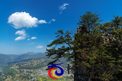 主人调教小sao货|主人引导娇嫩宠物成长