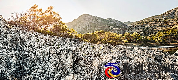 儿媳周莹回乡扫墓|儿媳妇周莹赴故地祭拜先人-2