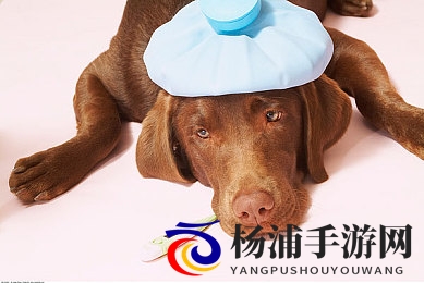 苏蜜清歌|传统与现代融合引领新文化潮流