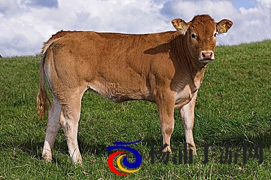 被闺蜜扒了内裤光着屁股打|好友揭露私密惩罚光屁股出场-2