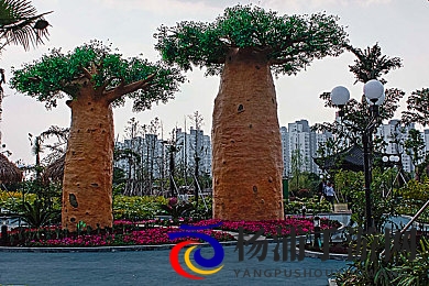 天天日夜夜拍|每天持续不断记录生活精彩瞬间-2