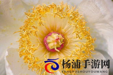 8x8x海外华为永久更新时间3|华为海外创新确保设备长久安全-1