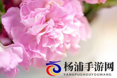 王伟忠和儿媳周莹回乡扫墓|怀念先人王伟忠与儿媳周莹返乡祭扫-2