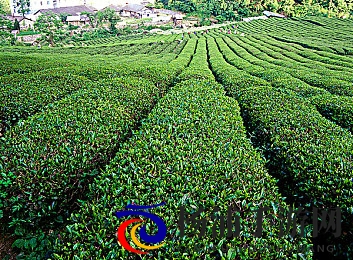 将界2第3酒店|创新设计引领行业新风尚-2