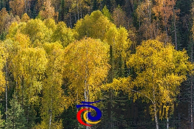 女生的坤坤|少女心中的男神梦-2