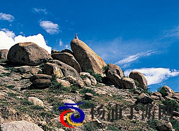 那英BB好看吗|角色设计的未来趋势与多元化发展