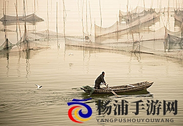 天天干天天摸天天操|每日勤奋不断尝试体验乐趣-1