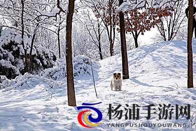 天天干天天摸|每日勤奋不断探索新乐趣-3