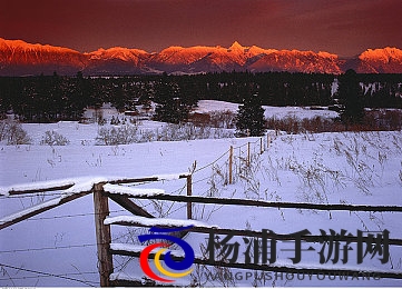 台湾中文文化娱乐网站有哪些|台湾地区主要汉语文化平台推荐分析-1