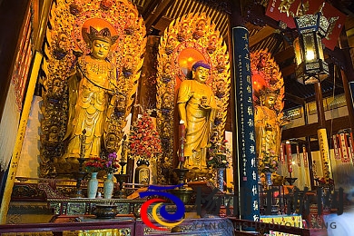 白鹿哭着说不能再快乐了|突破传统体验的深度佳作-2