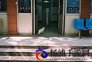 桃花岛网站|春风古韵网景海岛平台-2