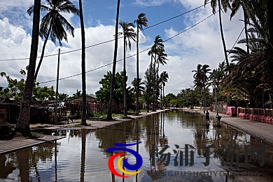 www你懂的|网络暗语的兴起与隐秘文化探秘