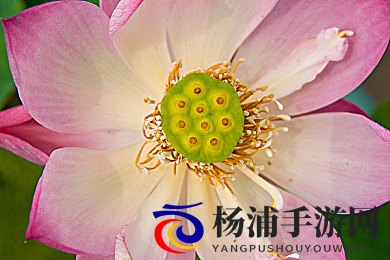 女友下乡被两个老头c|女友乡间经历两位长者的意外接触-1