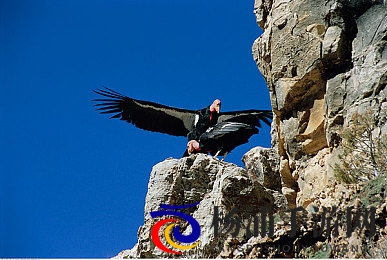 三级大胆人文艺术的文化内涵|探索三层次人文艺术的文化价值-2