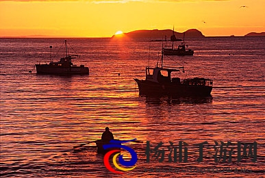 足浴店勾搭熟女老板|沉浸式剧情探索引爆玩家热情-2