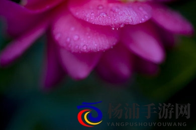 6月电子厂全景沟厕拉屎|智能化公共设施提升制造企业形象