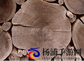 拍摄av现场失控高潮数次|拍摄现场情绪激烈多次达到高潮-3